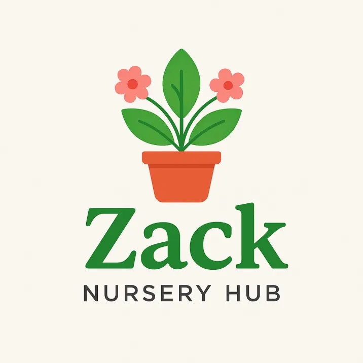 My Website